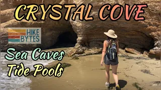 Explore Crystal Cove Newport Beach Sea Caves & Tide Pools Best Beach Day Trip