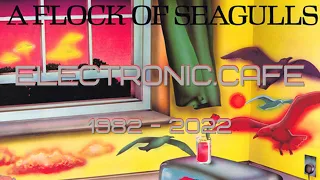 A FLOCK OF SEAGULLS: A FLOCK OF SEAGULLS - Review 40 Years (1982) #80ssynth #synthpop Mike Score