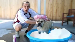 Giving My Roommate's Dog a Bubble Bath