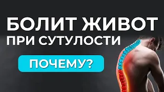 Почему у сутулого человека часто болит живот?