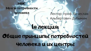 1я лекция Общие принципы потребностей человека и их центры  Вячеслав Дубынин  Лекции МГУ