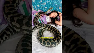 She Slept with Her Python Until THIS Happened! 😱 #shorts