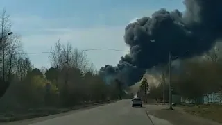 «Апокалипсис на болоте». Крупный пожар в Железногорске