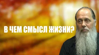 В чем смысл жизни?