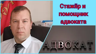 № 62. Помощник и стажер адвоката: Кто это?