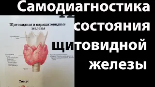 Щитовидная железа. Ранняя и точная самодиагностика