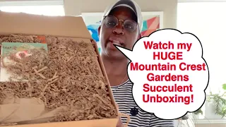 21: Huge Mountain Crest Gardens Cactus and Succulent Unboxing!