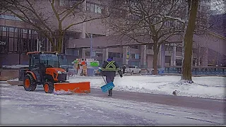 TORONTO First January snowfall 2023 - Downtown Winter Afternoon Walk | Jan 13 Canada