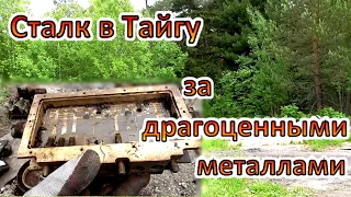 ☢️Поход в Тайгу за драгоценными металлами! Сталк Сибирь Тайга и ДрагМеталлы.