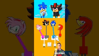 IQ Test Challenge With Sonic and Shadow