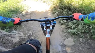 Downhill Mountain Biking.          Mount Washington.British Columbia