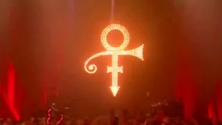 Prince - Whole lotta love