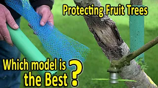 Protecting Fruit Trees | Shelter or Guard, Tube or Mesh | WHICH TREE PROTECTION should I use?