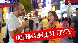 Понимают ли сербы русский язык? | Сходства между русским и сербским языками