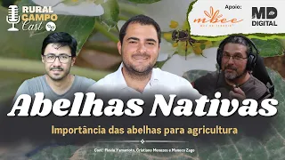 RuralCampoCast 62/ Abelhas Nativas - Importância das abelhas para a agricultura