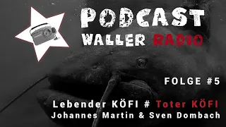 Waller Podcast  - Lebender Köderfisch gegen toten Köderfisch