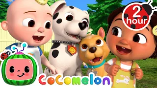 Bingo's Puppy Play Date with Nina and JJ | CoComelon Nursery Rhymes & Kids Songs