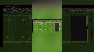 Retro Bowl - Georgia vs Ohio State simulation CFP highlights