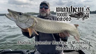 Shallow September Muskies in Minnesota - Mayhem's 10000 Casts - Season 3 Episode 8