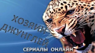 Новинки кино - смотреть Хозяин джунглей