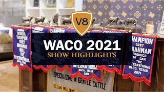 2021 Waco Show Highlights from V8 Ranch