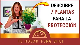 👉 7 PLANTAS PROTECTORAS 🌿 para el HOGAR Según el FENG SHUI㊗️