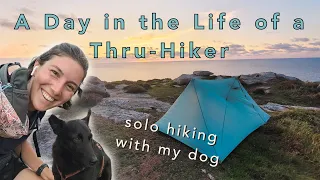 A Day in the Life Thru-Hiking with my Dog | Our daily routine on the Trail