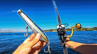 BIG BITES On This Pencil Popper! Florida Inshore Fishing