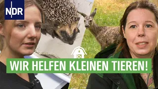 Die Wildtier-Retterin aus Verden | Die Nordreportage | NDR Doku