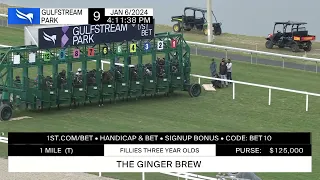 Gulfstream Park Carrera 9 (The Ginger Brew Stakes) - 6 de Enero 2024