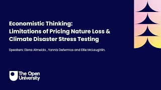 Economistic Thinking: Limitations of Pricing Nature Loss & Climate Disaster Stress Testing