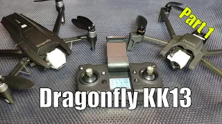 Dragonfly KK13 Parrot ANFI Clone - Part 1