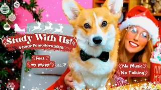 🎄4-HOUR STUDY WITH ME & MY PUPPY!🐶❤️Cozy Study Ambience🎅Real Time Pomodoro 50/10🤫No Music/No Talking