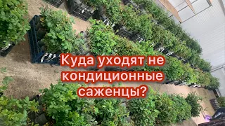 Одно из наших новаторских решений