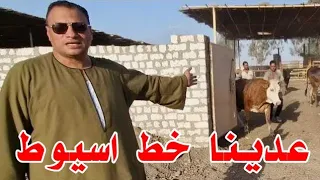 اخدنا علقة موت انا والتاجر الفصيح وشوفنا الموت بعد طريق اسيوط الغربي  بسبب المزرعه دي😒😒😒