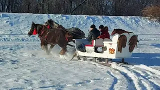 🎄🥁КОНІ🦄САНИ🛷 УПРЯЖ☃️ - ВСЕ ЯК У КАЗЦІ❄️🌬 ВЕЛИКА ЗАСЛУГА ГОСПОДАРІВ👍💪🤝