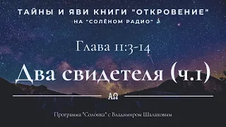 #28 Два свидетеля (Откр.11:3-14). "Тайны и яви книги Откровение" в программе "Солонка"