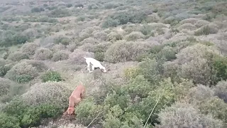 Τα πολύχρωμα τού Σάκη 5