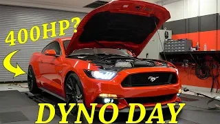 DYNO DAY! | Does Bama still make power in 2019?