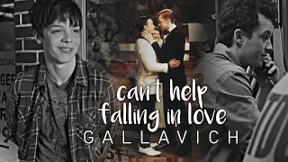 gallavich ♥ | ian & mickey [+10x12] - can't help falling in love