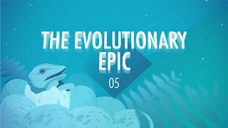 The Evolutionary Epic: Crash Course Big History #5