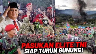 Prabowo Turun Tangan?! Deretan Pasukan Elit TNI yang Diperintahkan Melawan KKB-OPM di Papua