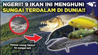 BIKIN JANTUNGAN!! 9 IKAN YANG ADA DI SUNGAI KONGO AFRIKA, SUNGAI TERDALAM DI DUNIA (URUTAN KE-5....)