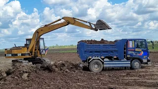 Hyundai Dump Trucks | CAT Excavator Loading Truck | Dump Truck working [ EP.1496 ]