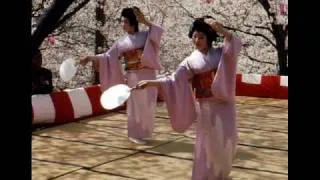 Japan 1970 at Cherry Blossom Time.wmv