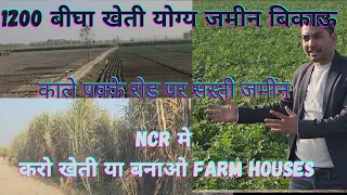 200 Acre का खेत बिकाऊ NCR मे, खेती करो या बनाए farm houses का बङा project #kheti #farming #farmer