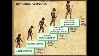 Всемирная история. Теории происхождения человека.