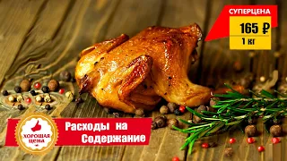 Выгодно ли держать перепелов на мясо. Расходы на содержание перепелов.