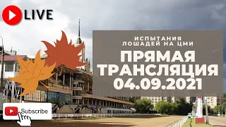 04.09.2021. Прямая трансляция с ЦМИ. Первый осенний день.