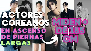 ACTORES COREANOS EN ASCENSO DE PIERNAS LARGAS MIDEN + DE 185 CM 😍 #actoresocultosmuyaltos